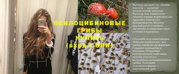 эйфоретик Алексин