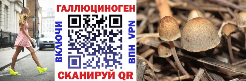 купить наркотик  блэк спрут   Псилоцибиновые грибы Magic Shrooms  Калининск 
